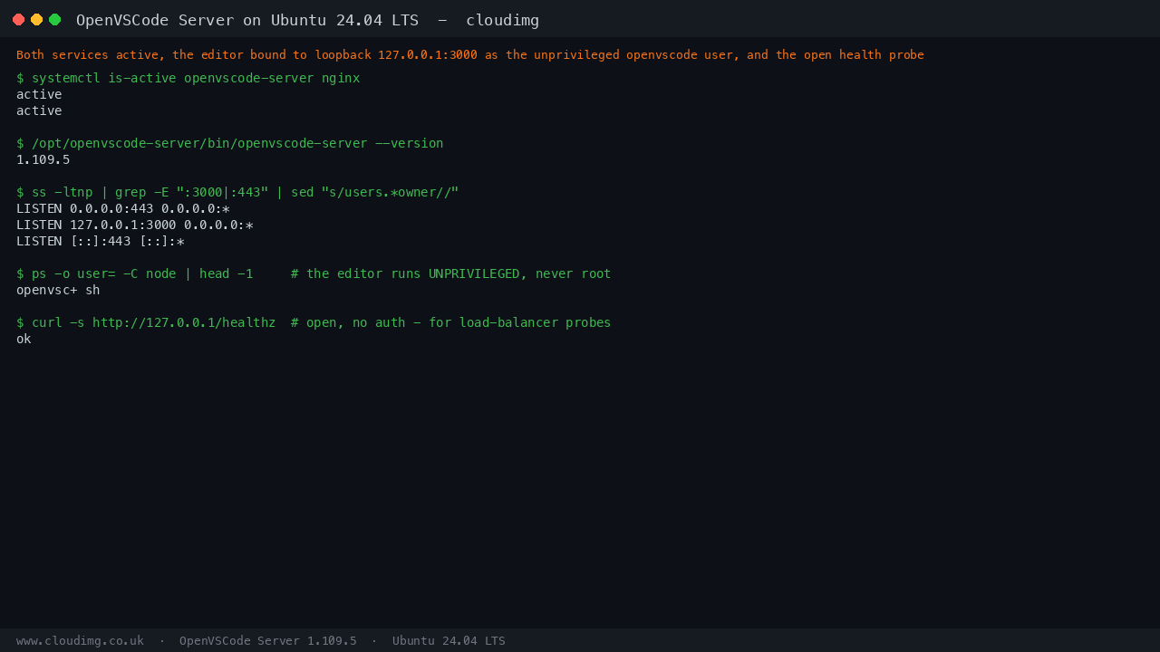 OpenVSCode Server and nginx active, the editor bound to loopback 127.0.0.1:3000 as the unprivileged openvscode user, and the open health endpoint