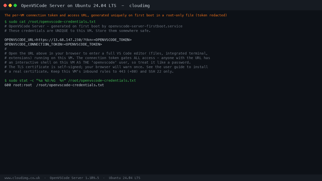 The per-VM connection token and access URL in the root-only credentials file, with the token redacted