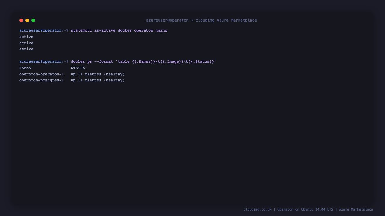The Operaton engine and bundled PostgreSQL containers running and healthy under systemd