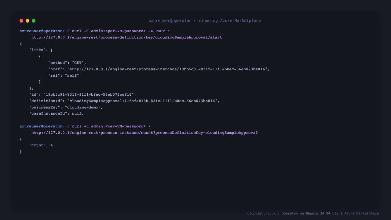 Starting a BPMN process instance over the authenticated REST API and counting the running instances