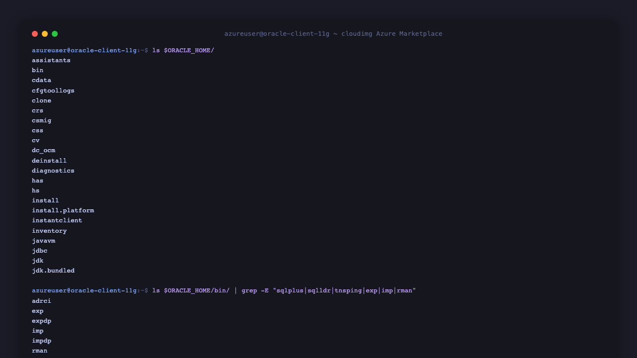Oracle Home directory listing showing assistants, bin, jdbc, lib, network, ldap and the binary tree containing adrci, exp, expdp, imp, impdp, rman, sqlplus, sqlldr, tnsping