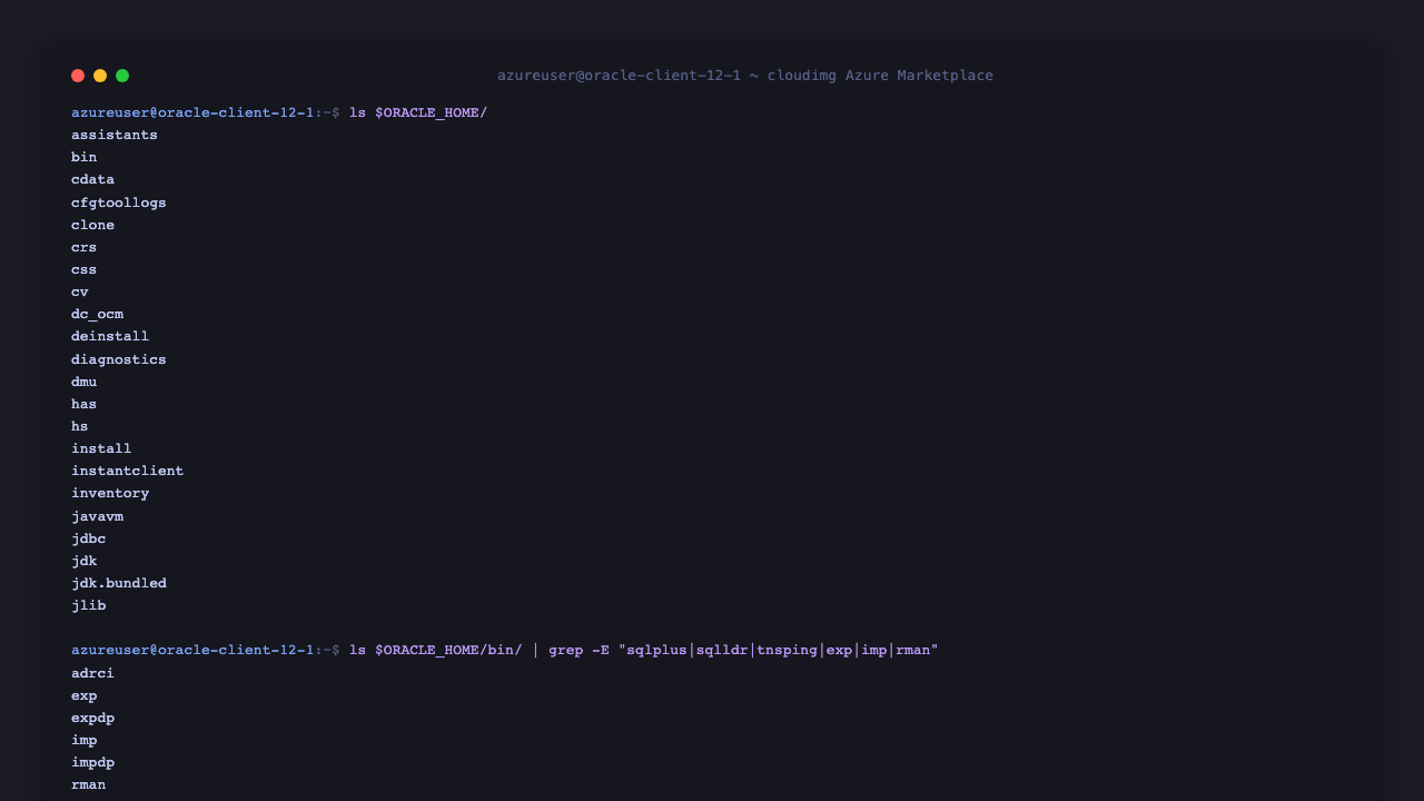Oracle Home directory listing showing assistants, bin, jdbc, lib, network, ldap and the binary tree containing adrci, exp, expdp, imp, impdp, rman, sqlplus, sqlldr, tnsping