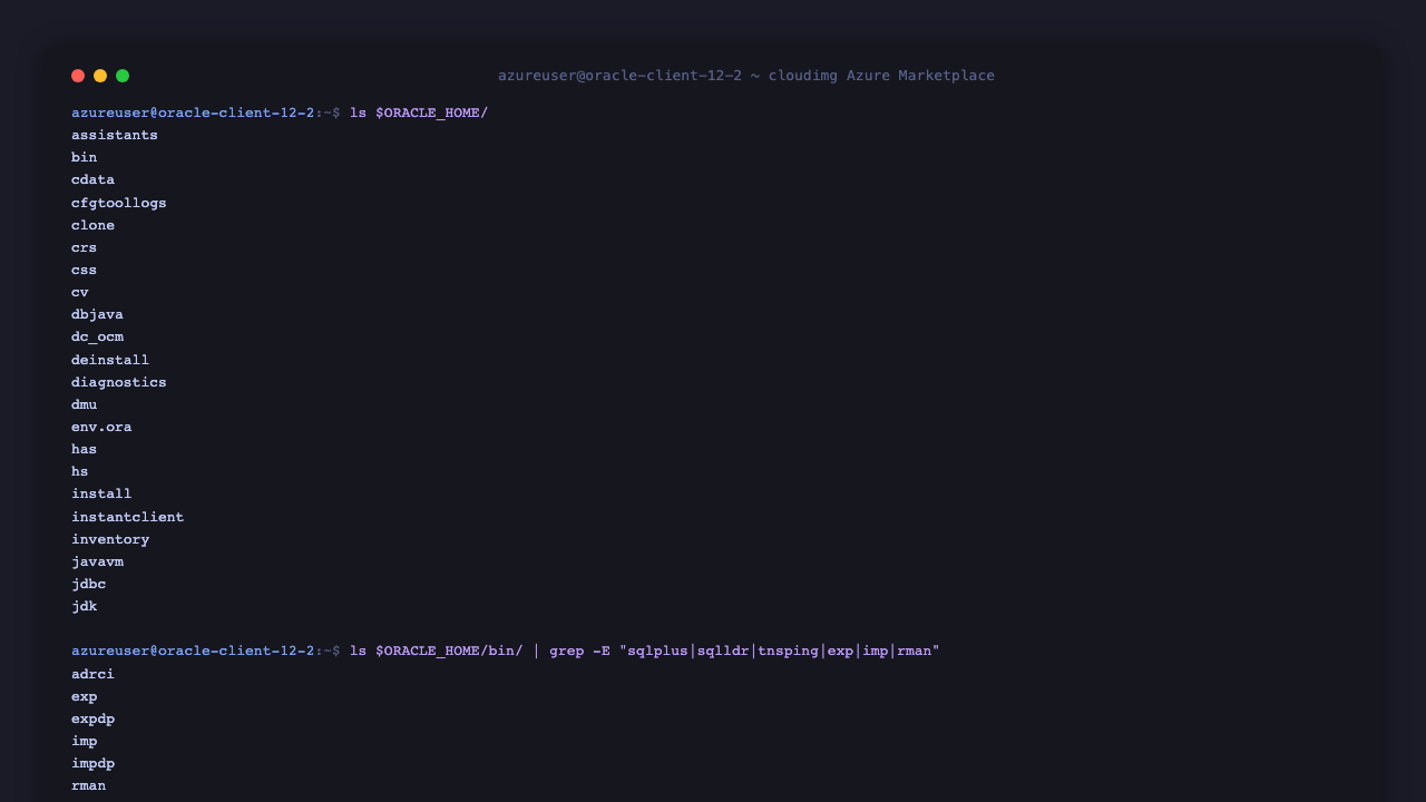 Oracle Home directory listing showing assistants, bin, jdbc, lib, network, ldap and the binary tree containing adrci, exp, expdp, imp, impdp, rman, sqlplus, sqlldr, tnsping