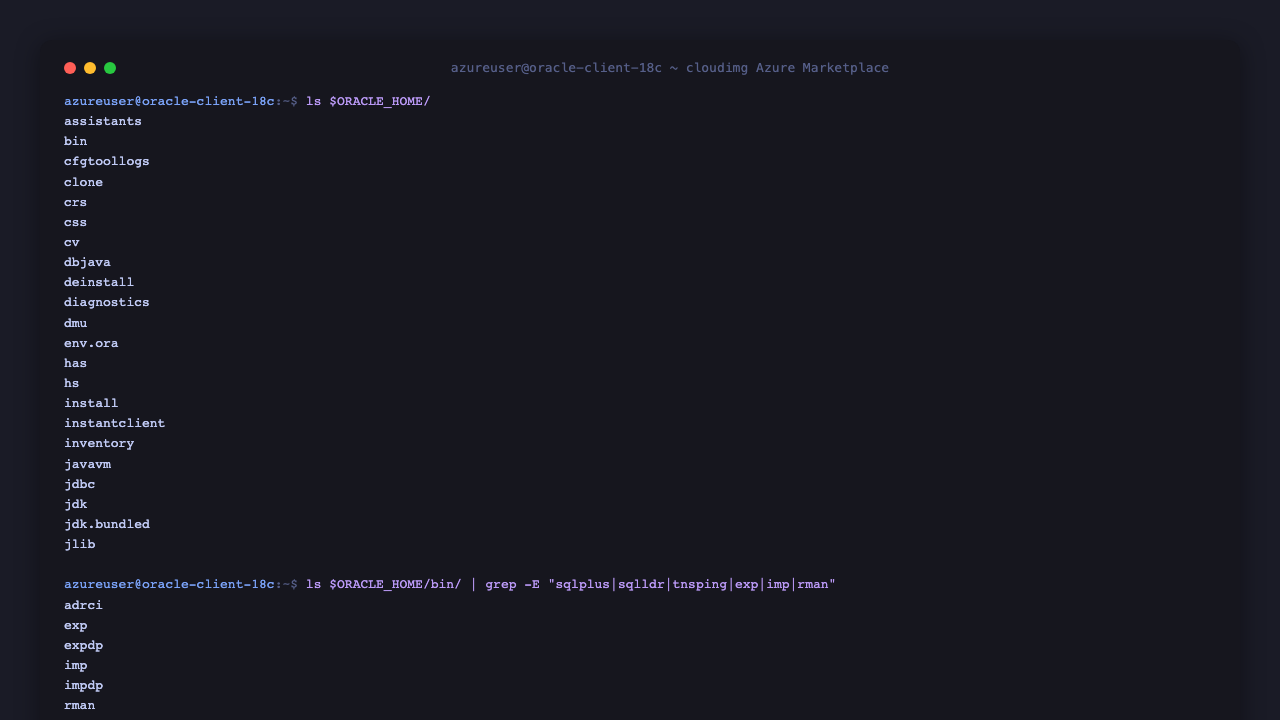 Oracle Home directory listing showing assistants, bin, jdbc, lib, network, ldap and the binary tree containing adrci, exp, expdp, imp, impdp, rman, sqlplus, sqlldr, tnsping