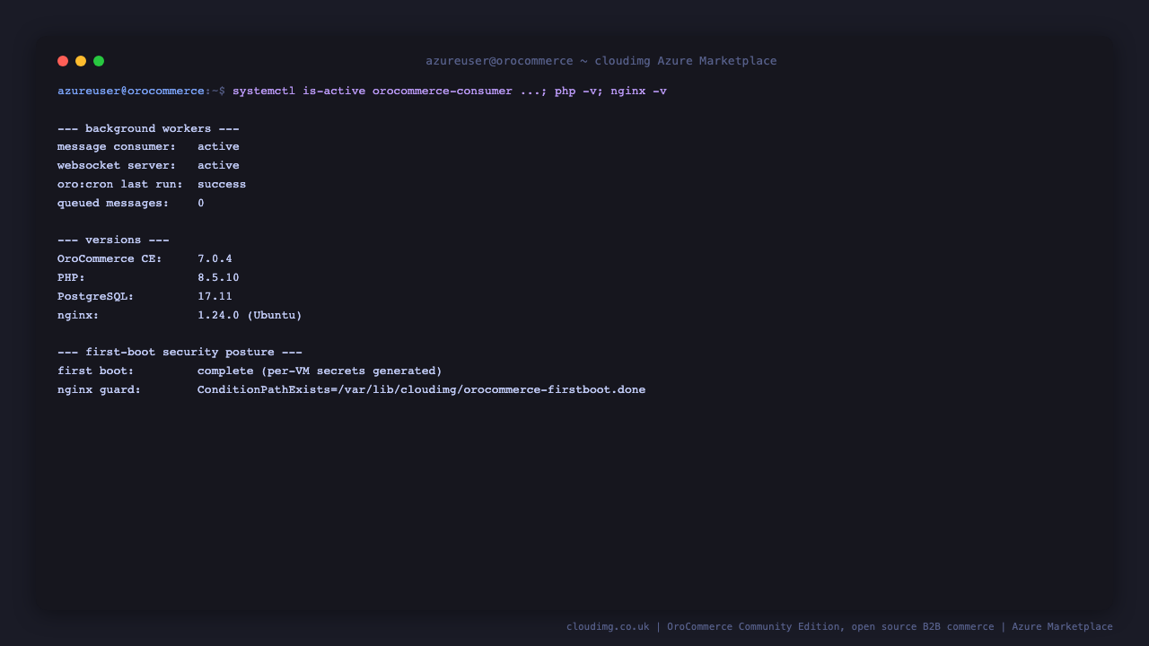 Background workers and component versions