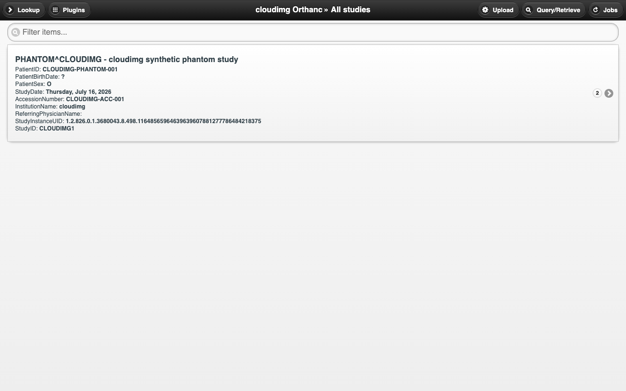The study list in Orthanc Explorer after a study has been received