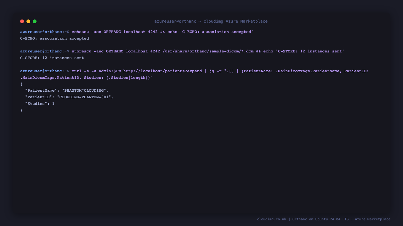 A DICOM C-ECHO association accepted, a C-STORE sending 12 instances, and the REST API listing the stored phantom patient