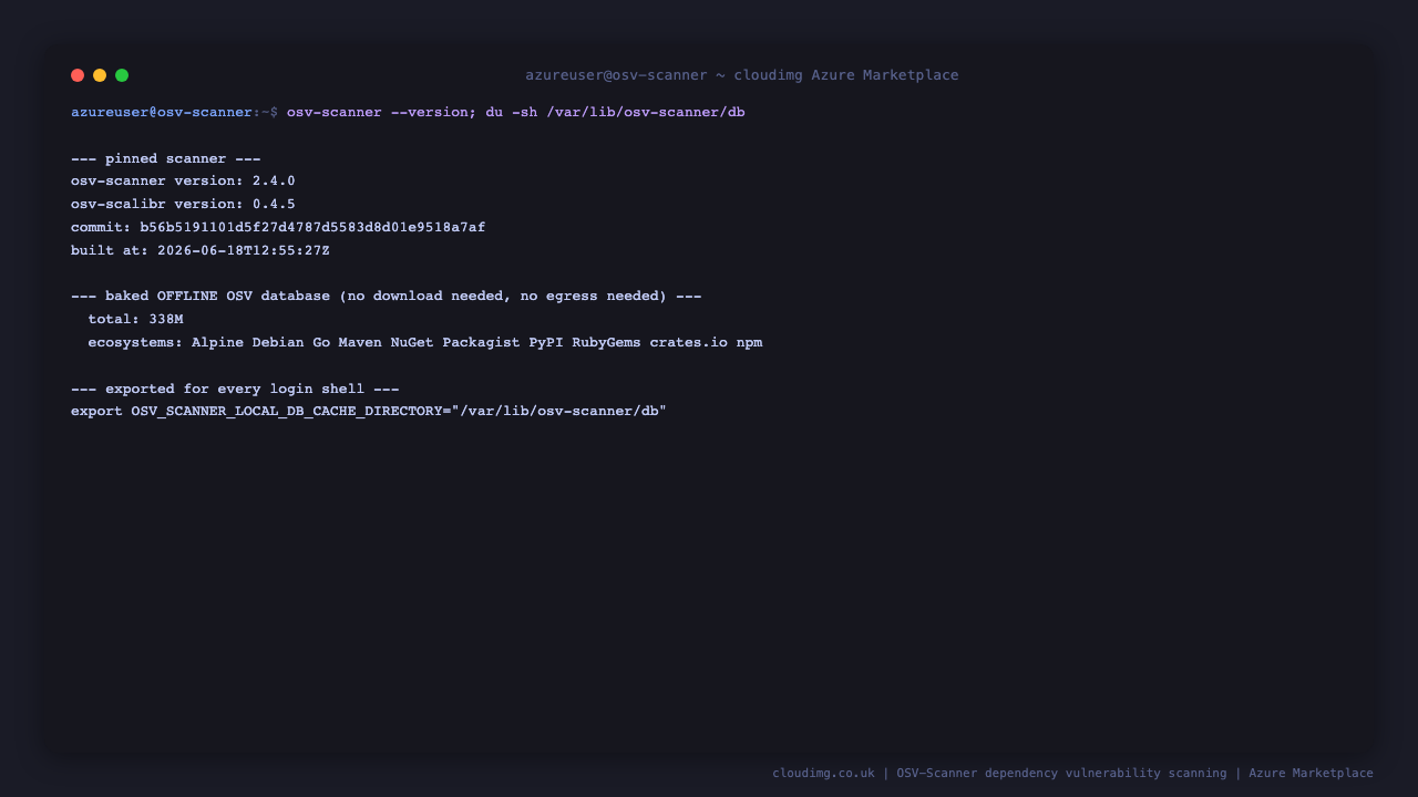 OSV-Scanner version and baked offline database