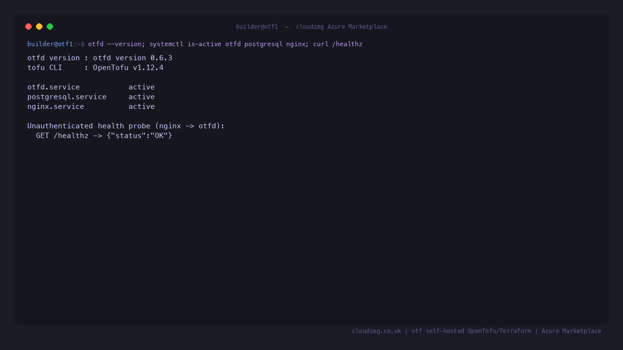 otf daemon and OpenTofu versions, service health and the health endpoint