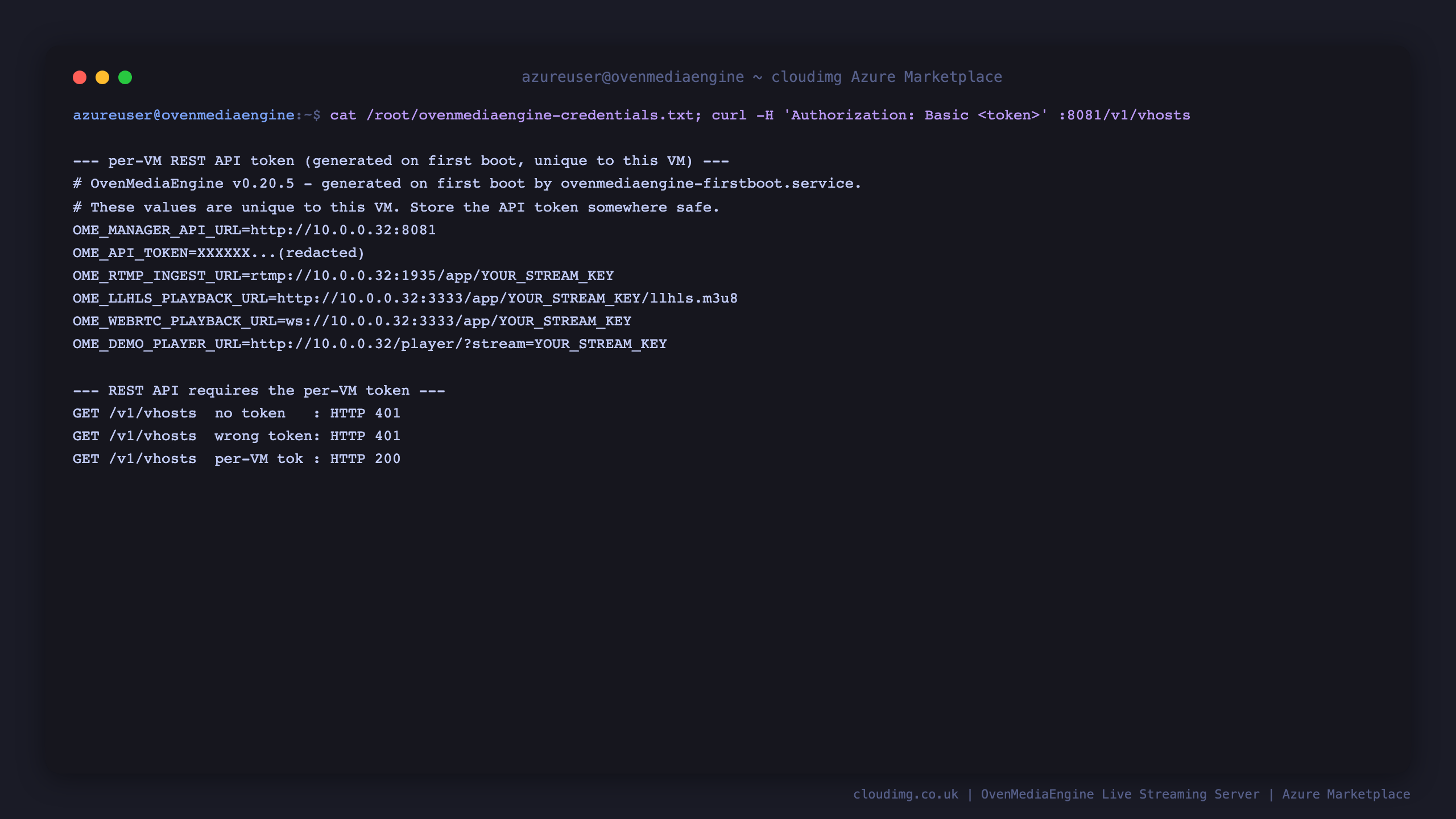 Terminal showing the credentials file with the per VM API token redacted, then the REST API returning 401 with no token or a wrong token and 200 with the per VM token