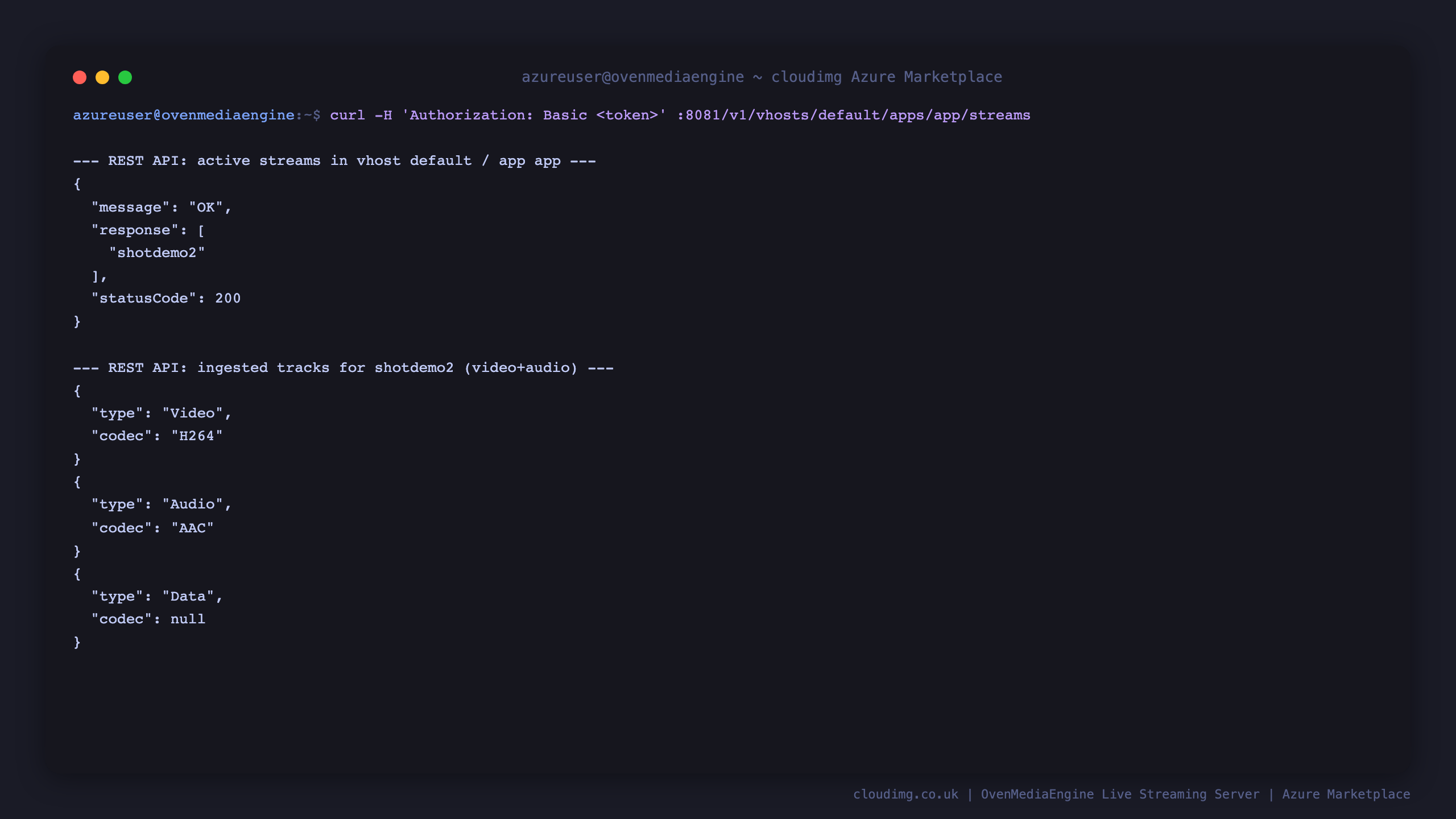 Terminal showing the REST API listing the active stream and reporting its ingested H.264 video and AAC audio tracks