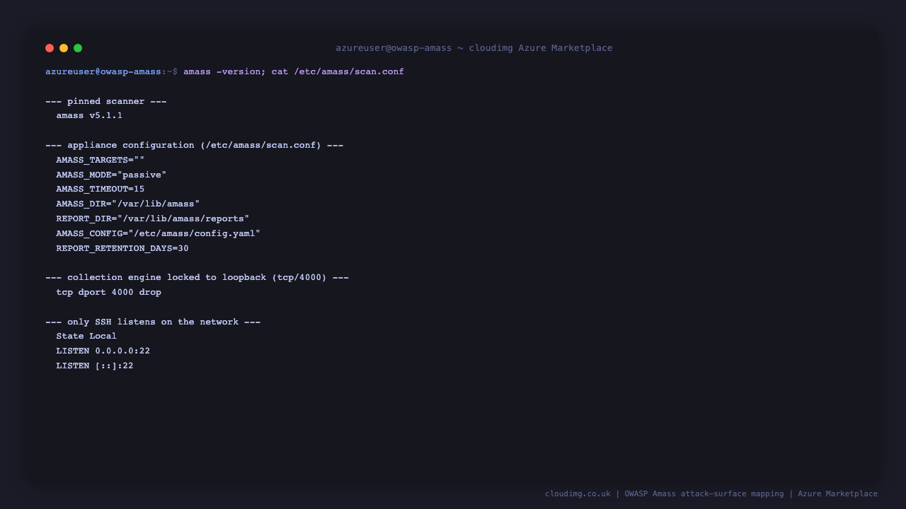 Amass version, configuration and the loopback-only collection engine