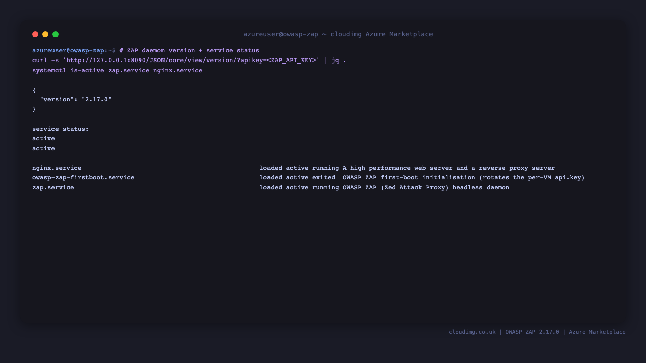 ZAP version and service status