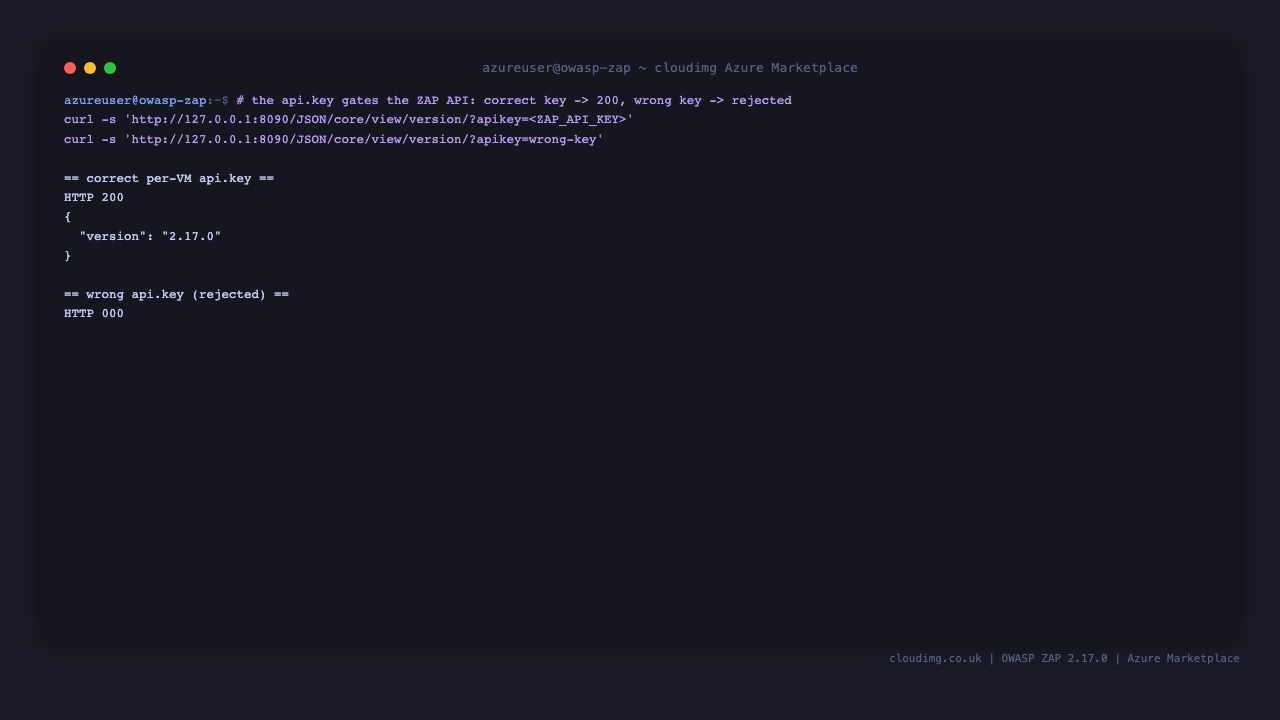 ZAP API version call with the per-VM API key