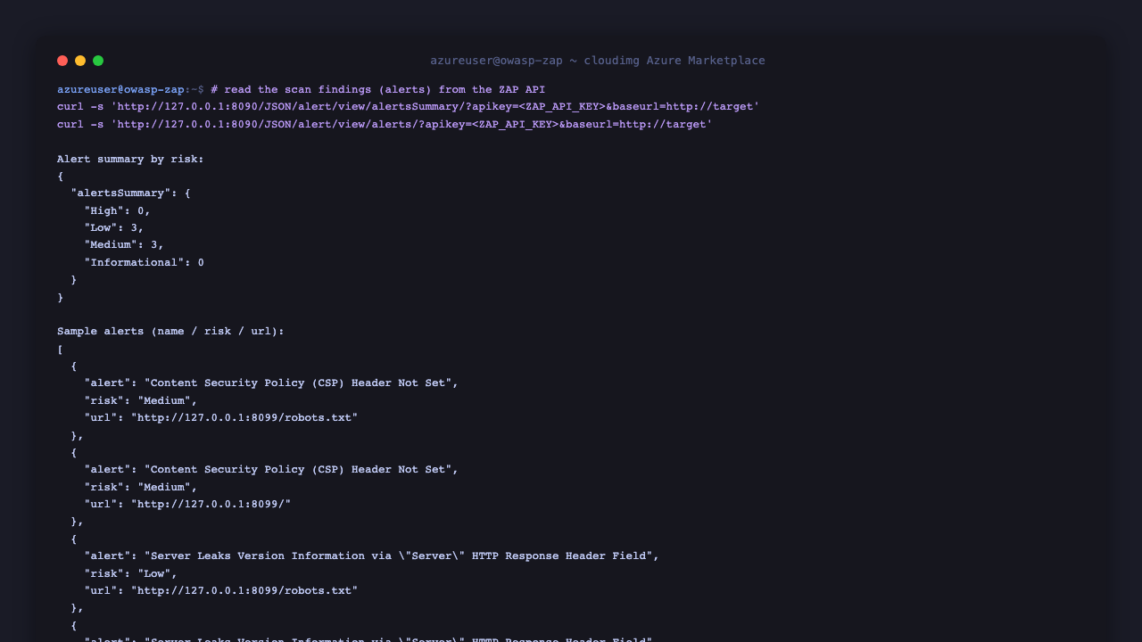 ZAP scan alerts and report output
