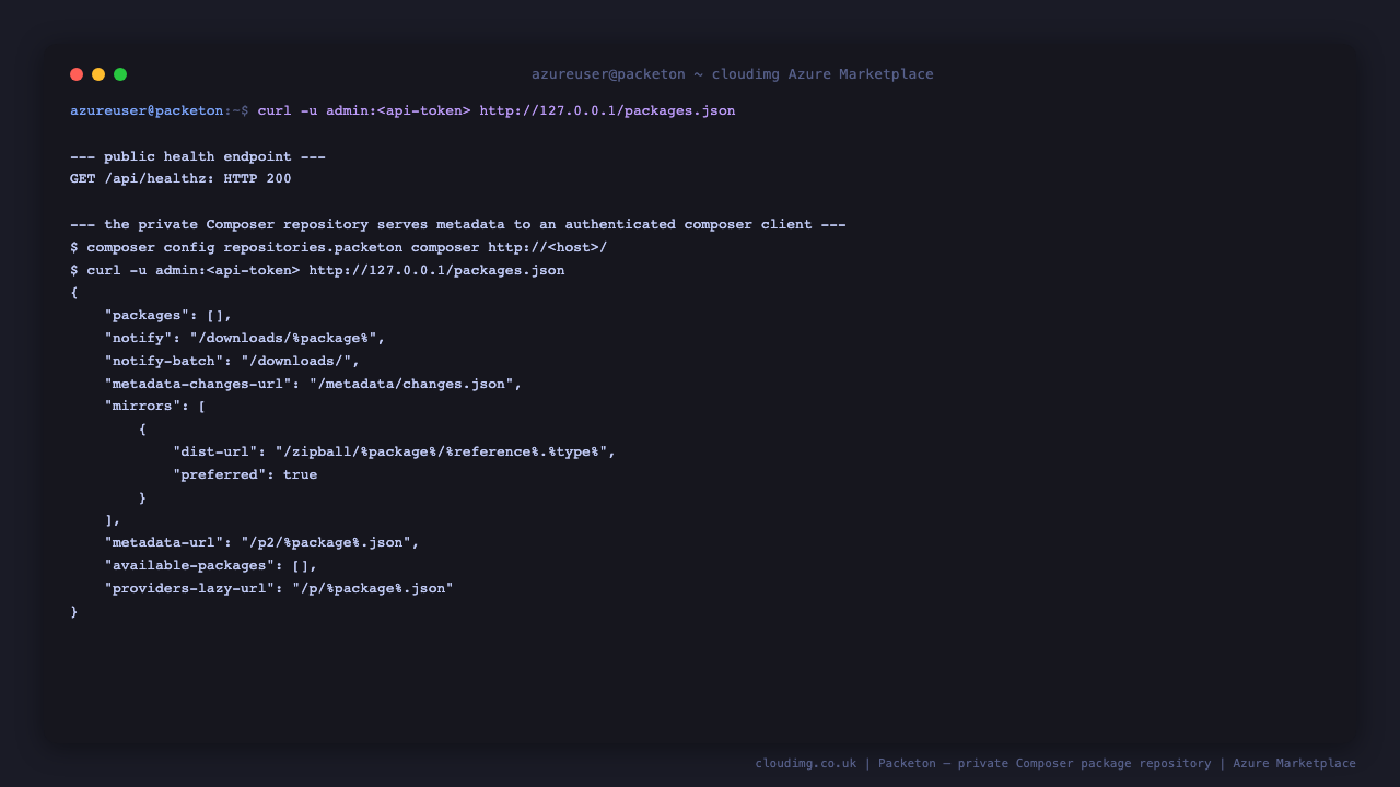 The private Composer repository serves packages.json metadata