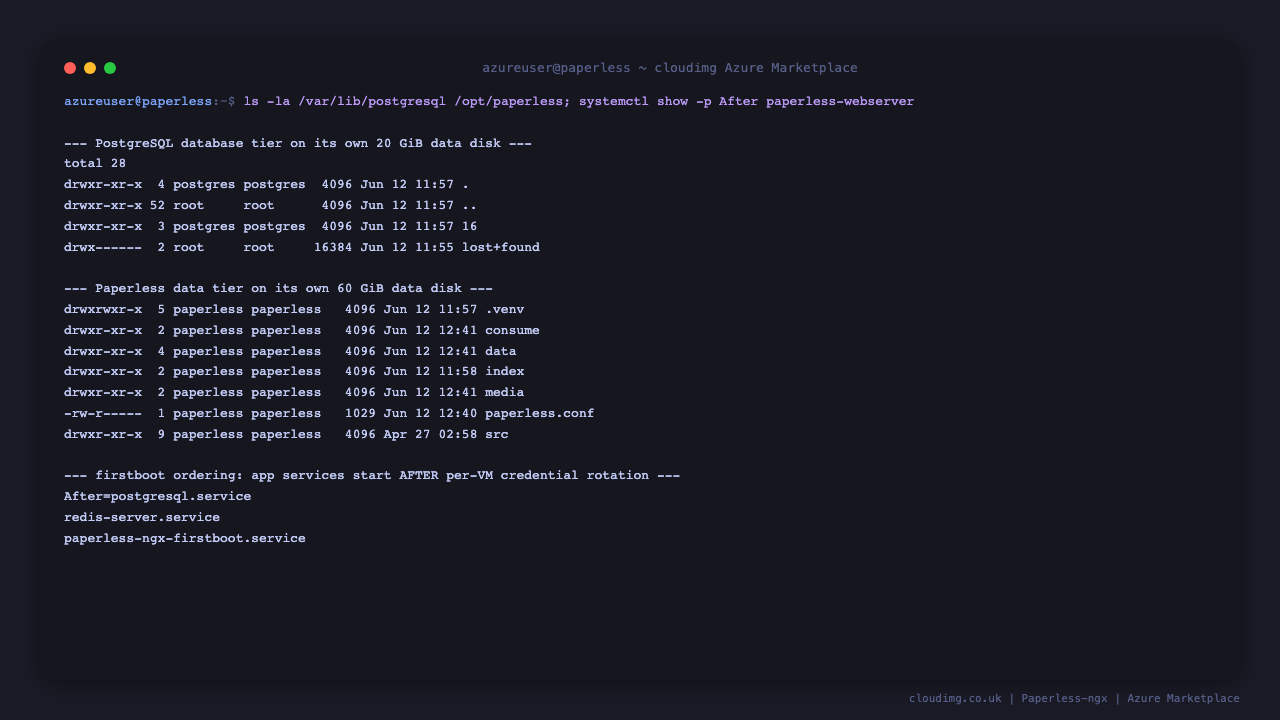 The two dedicated data disks: the PostgreSQL tier and the Paperless data tier, each independently resizable