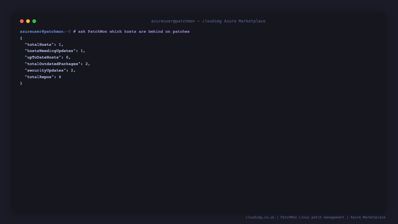 PatchMon reporting the fleet patch posture over the REST API: total hosts, hosts needing updates, outdated packages and security updates