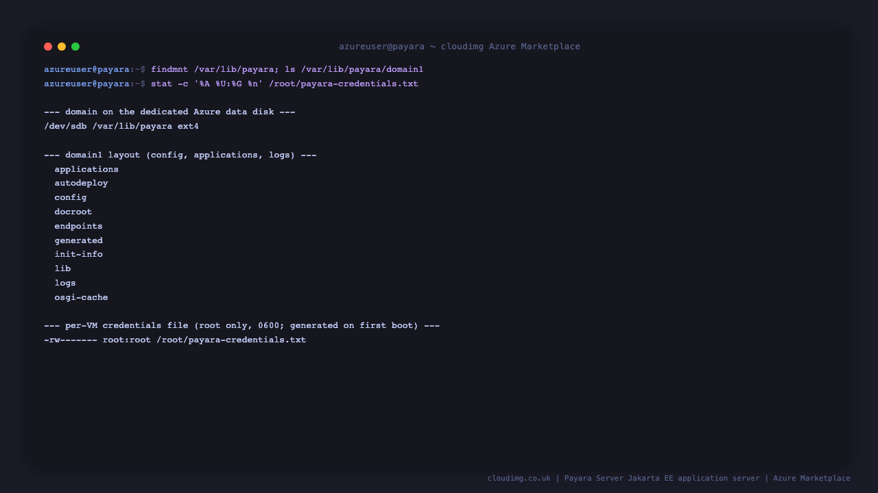 The domain1 directory on the dedicated data disk at /var/lib/payara, and the root only 0600 credentials file with the per-VM admin username and password