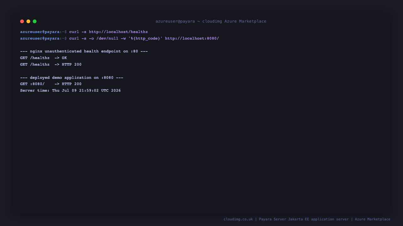 The nginx health endpoint returning OK with HTTP 200 on port 80, and the demo Jakarta EE application returning HTTP 200 on port 8080