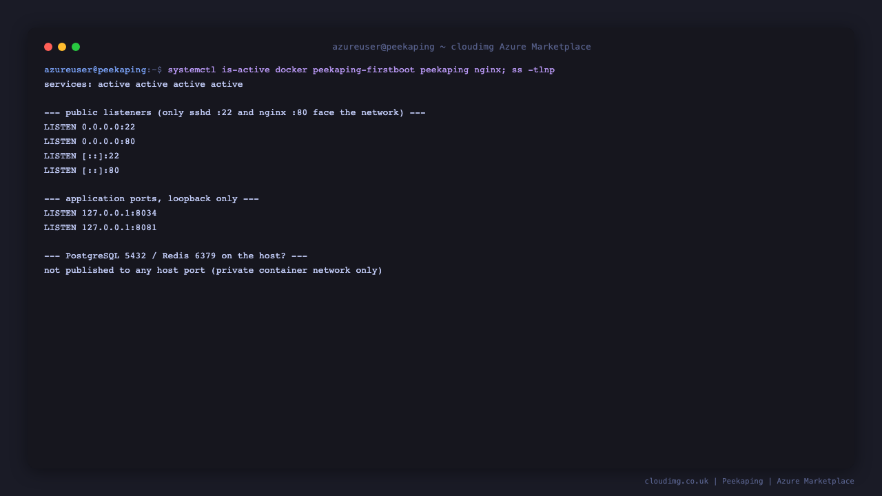 Peekaping services and listeners on Ubuntu 24.04