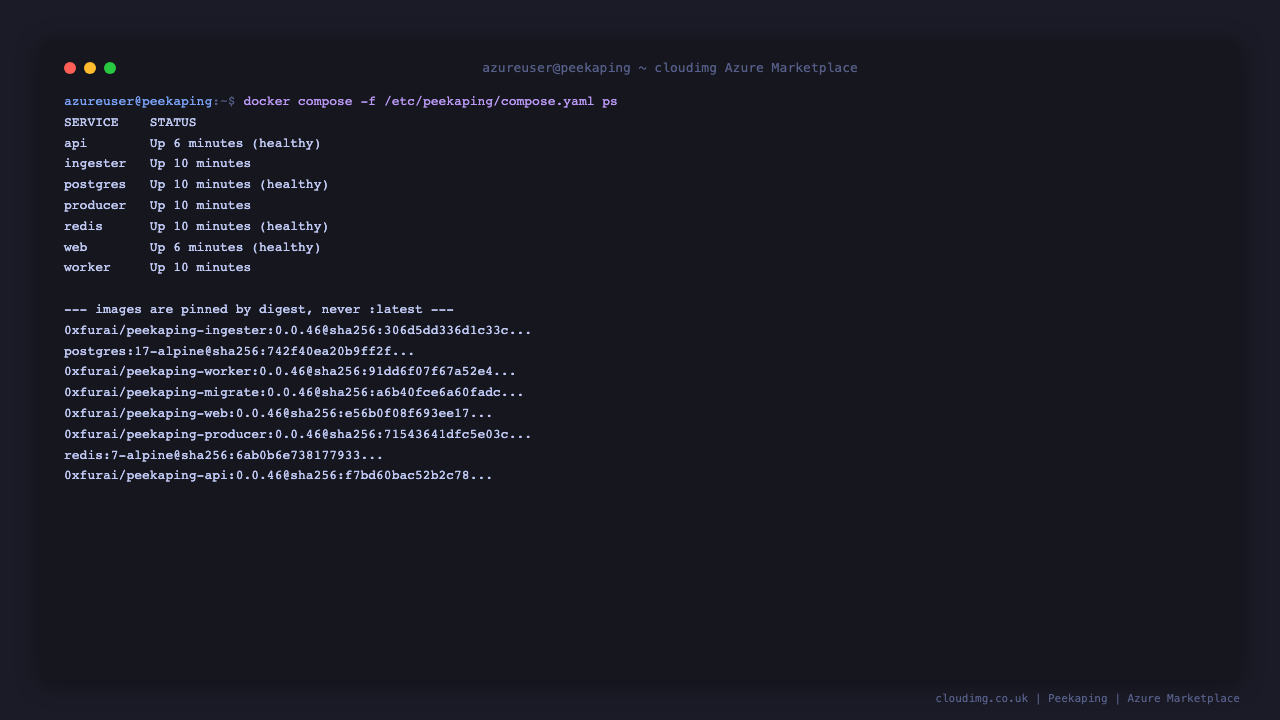 Peekaping container stack pinned by digest