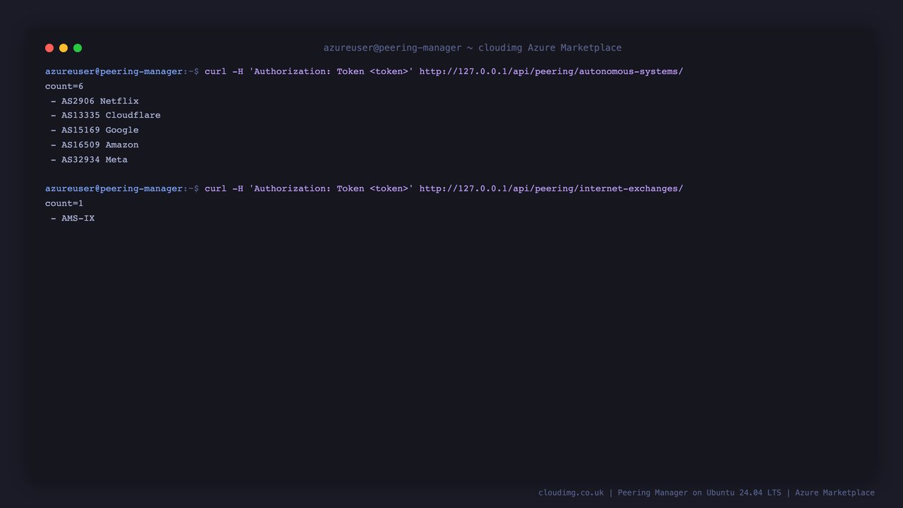 The REST API returning the example autonomous systems and Internet exchanges when called with the per VM token