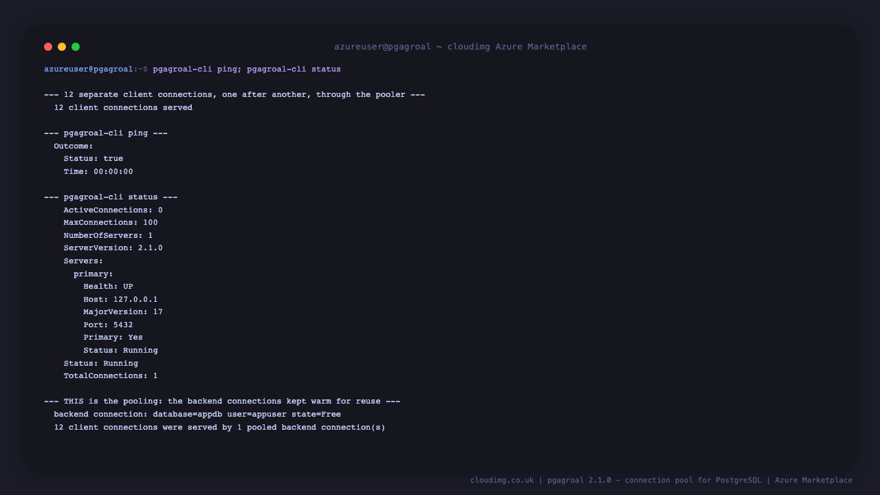 Terminal showing twelve client connections served through the pooler, pgagroal-cli ping returning Status true, pgagroal-cli status reporting MaxConnections 100 with the primary server at 127.0.0.1 port 5432 showing Health UP, Primary Yes and Status Running, then the pooled backend connection for database appdb and user appuser in state Free, and a closing line stating that twelve client connections were served by one pooled backend connection