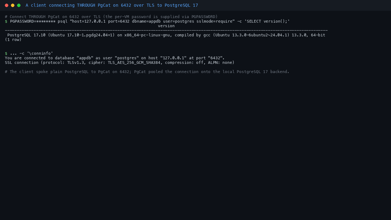 Terminal showing a psql client connecting through PgCat on port 6432 with sslmode require, returning the PostgreSQL 17.10 server version banner and a conninfo line reporting an SSL connection on TLSv1.3 to host 127.0.0.1 port 6432, proving the pooled connection reaches PostgreSQL and is encrypted