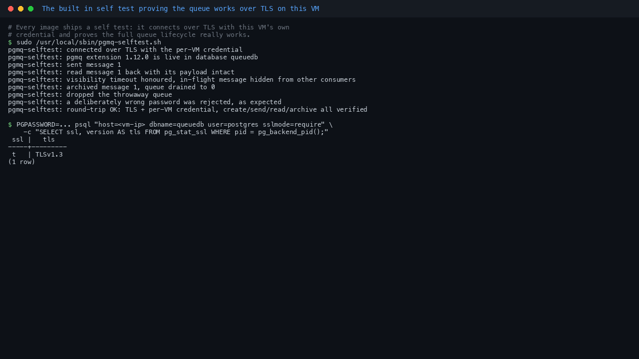 Terminal showing the pgmq selftest script output: connected over TLS with the per VM credential, pgmq extension 1.12.0 live in database queuedb, a message sent and read back with payload intact, the visibility timeout honoured, the message archived and the queue drained to zero, the throwaway queue dropped, and a deliberately wrong password rejected, followed by a pg_stat_ssl query returning ssl t and TLSv1.3