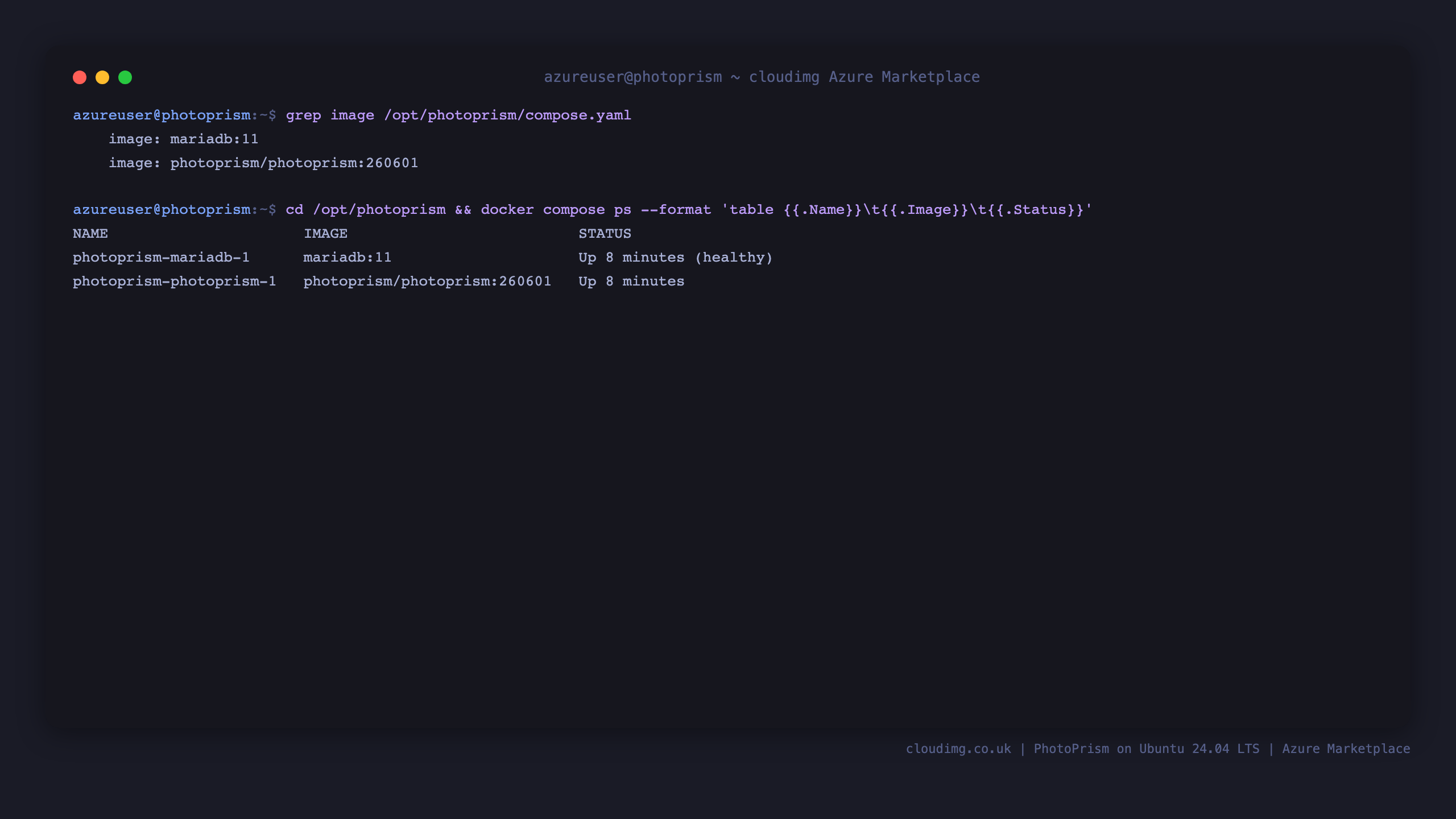 The pinned PhotoPrism Compose stack running: the PhotoPrism app and MariaDB