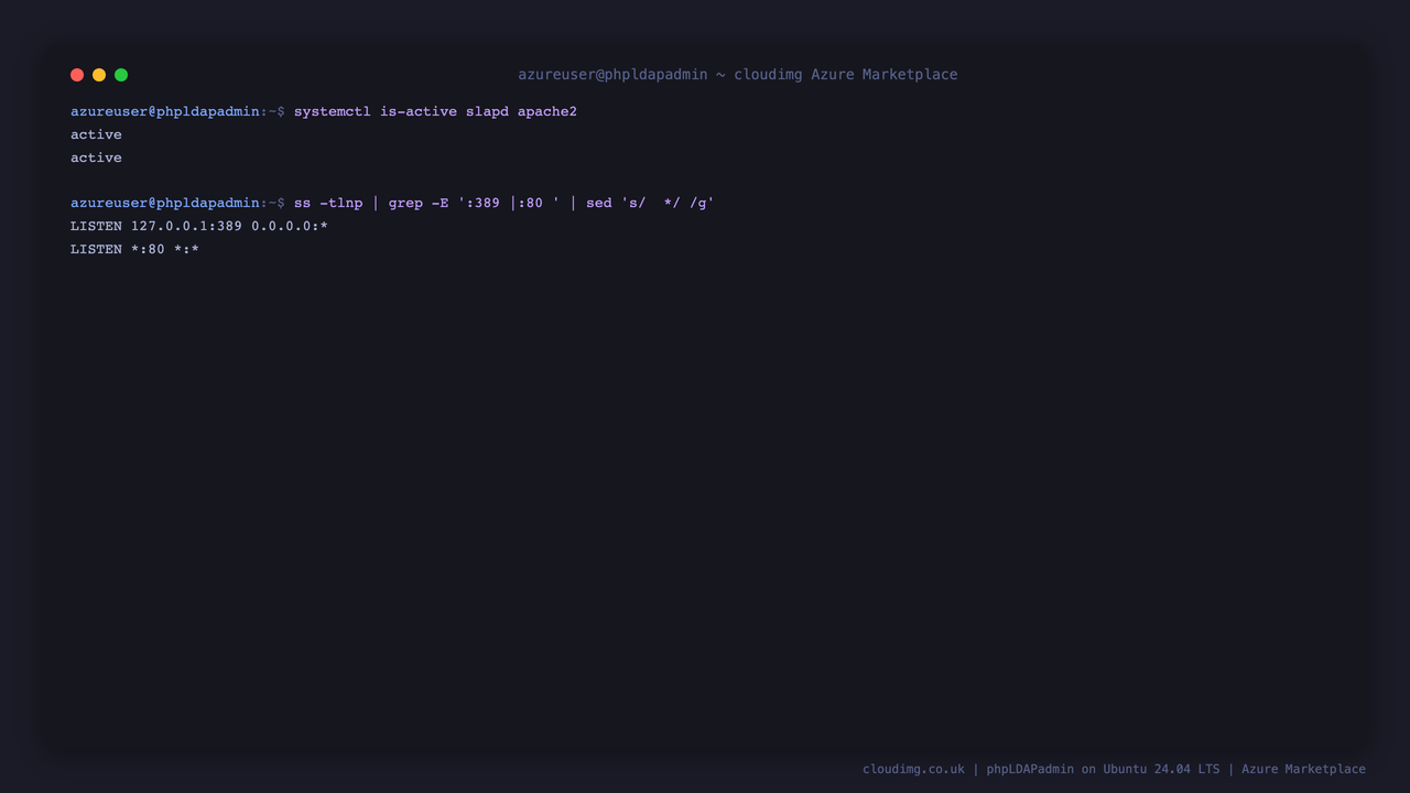 The slapd and apache2 services reported active, with Apache listening on port 80 and slapd bound to loopback 127.0.0.1:389