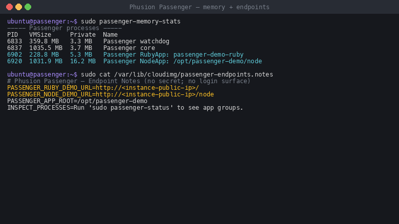 passenger-memory-stats listing the Passenger watchdog, core, and the Ruby and Node application workers with their memory use, alongside the endpoints notes file documenting the demo URLs