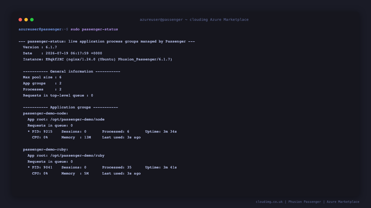 passenger-status showing two application groups, passenger-demo-node and passenger-demo-ruby, each with a live worker process, its PID, sessions, requests processed and uptime