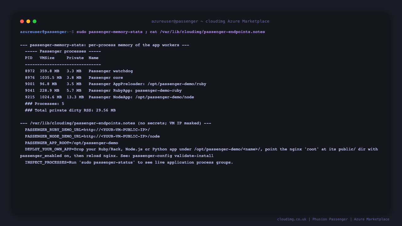 passenger-memory-stats listing the Passenger watchdog, core, and the Ruby and Node application workers with their memory use, alongside the endpoints notes file documenting the demo URLs