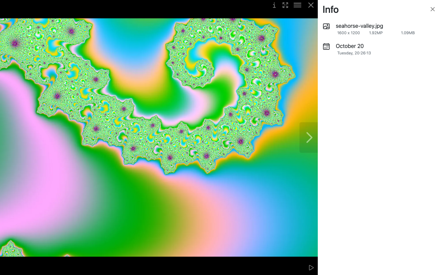 A photo opened full screen in PiGallery2 with the Info panel showing its file name, resolution, size and date