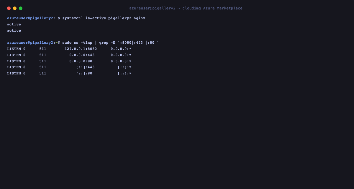 systemctl reports pigallery2 and nginx both active, and ss shows pigallery2 bound to 127.0.0.1:8080 loopback only with nginx listening on port 80 and port 443