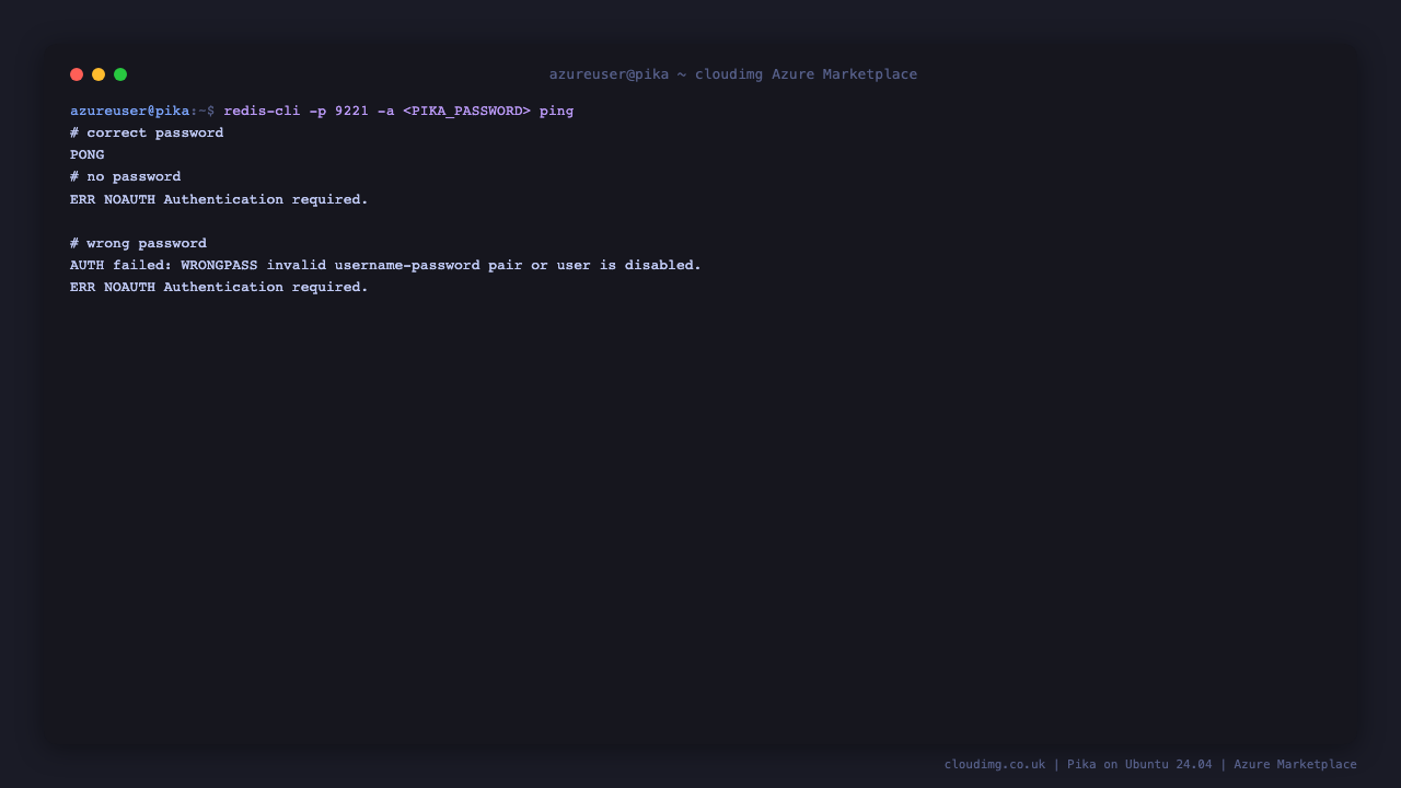 Pika authentication: correct, missing and wrong password