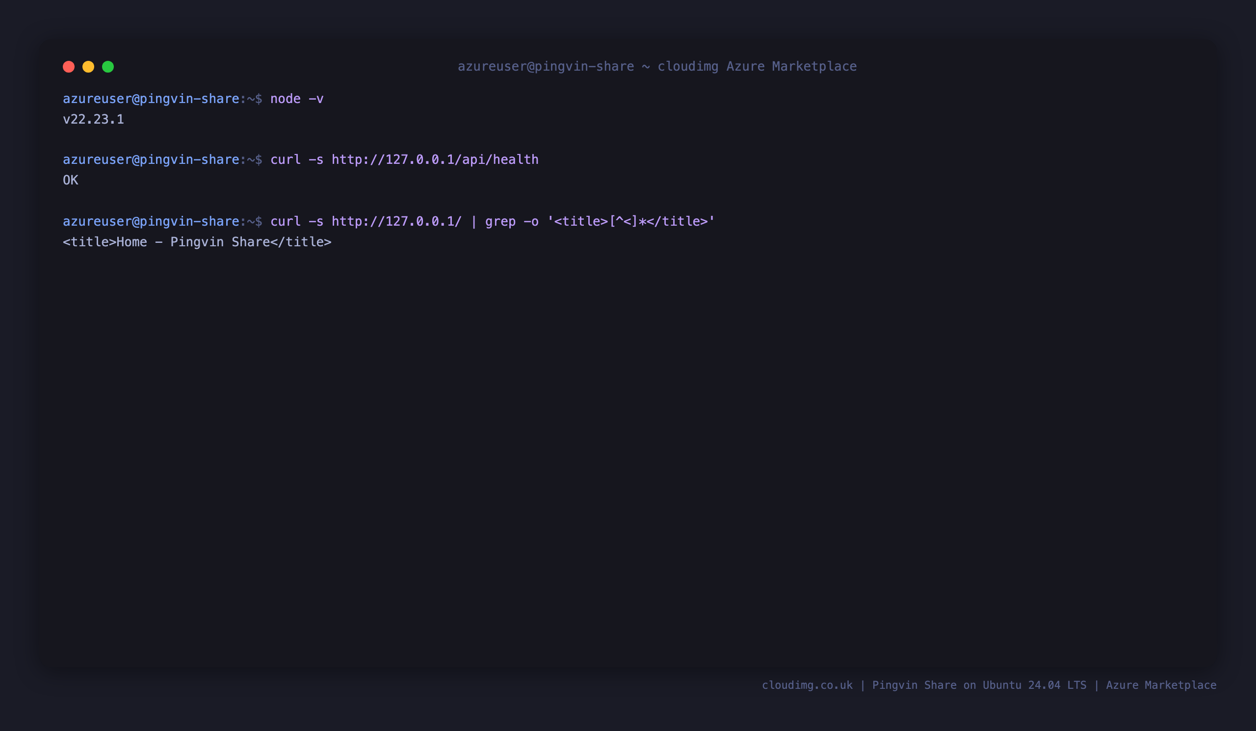 Node runtime, health endpoint and the application data disk