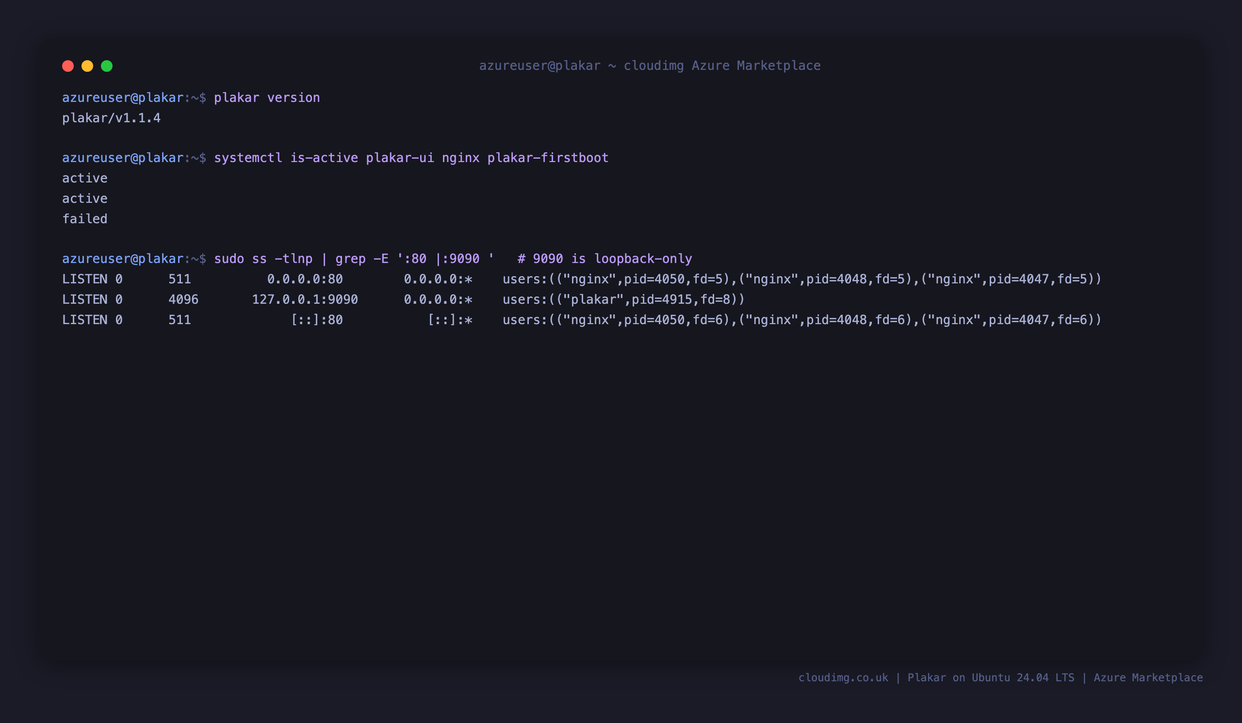 Plakar and nginx active, with the Plakar server bound to loopback only on port 9090