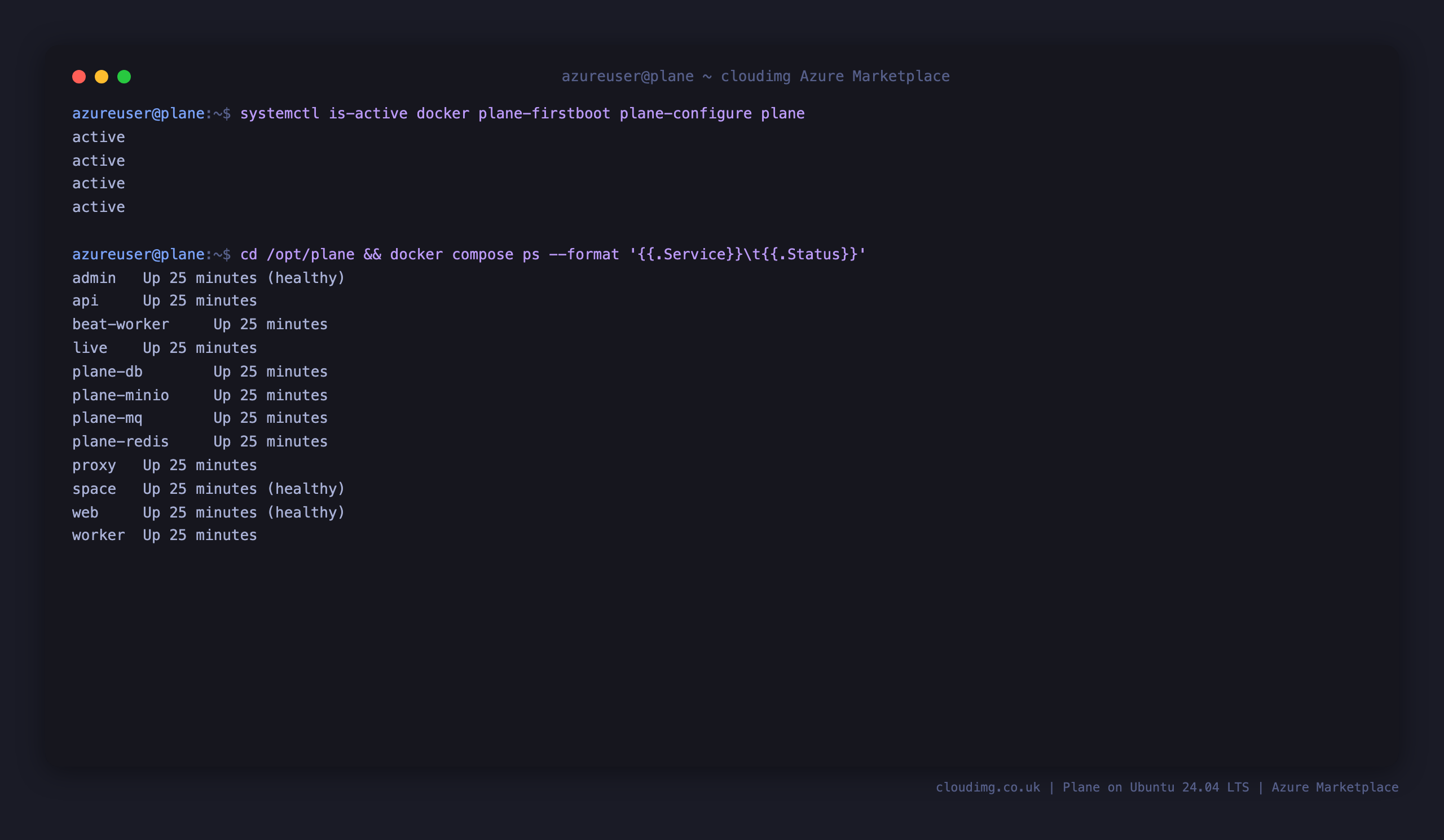 The Plane systemd units active and every container in the Docker Compose stack up and running