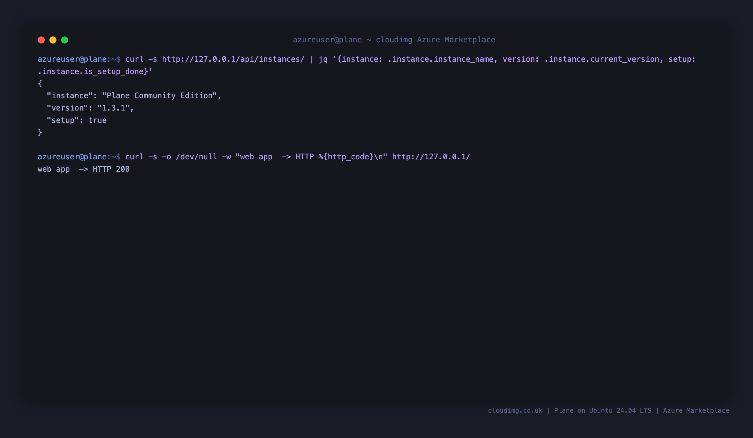 The Plane instance API returning the instance name and version, and the web app answering 200 on port 80