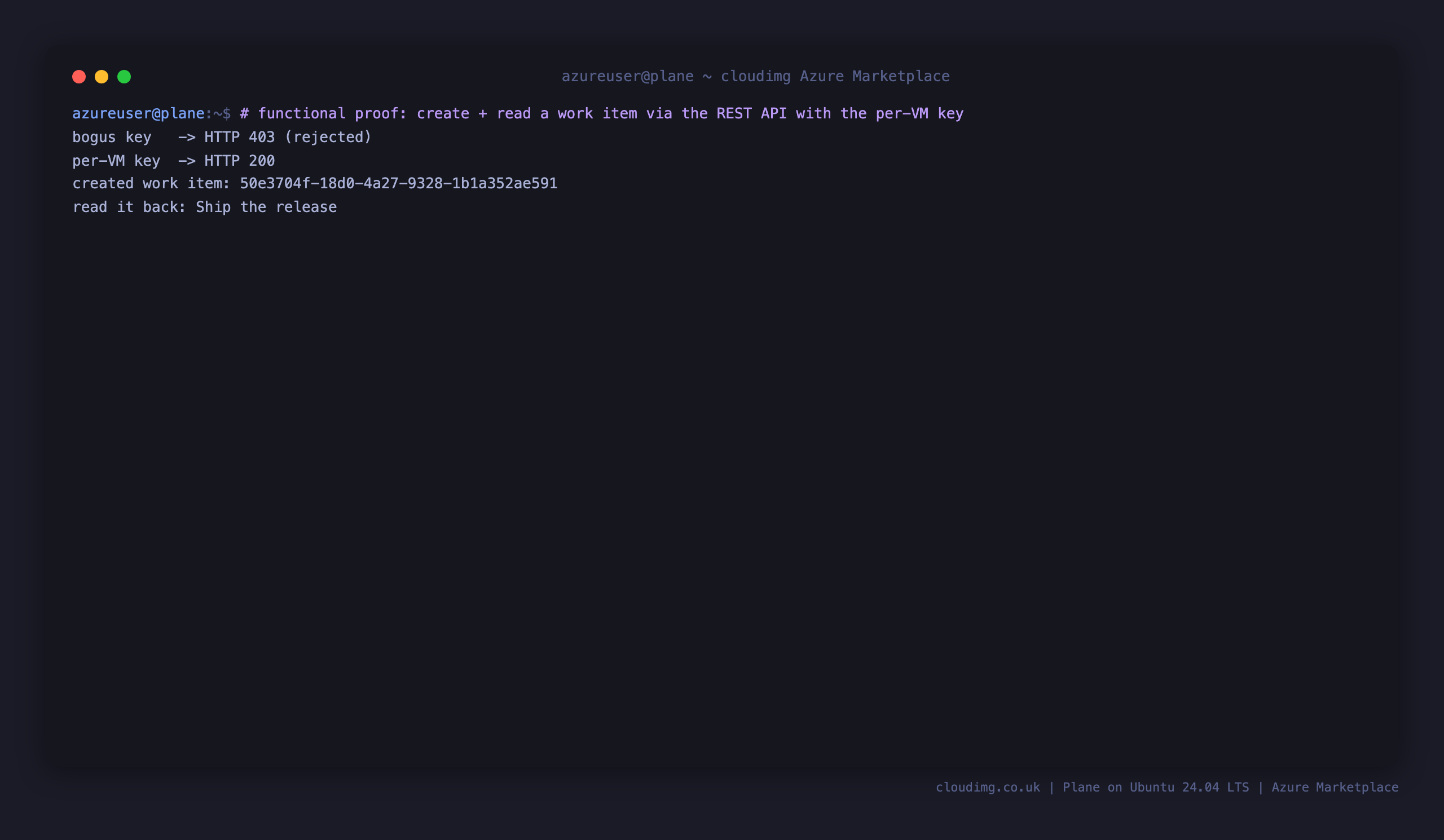 The per-VM REST API key accepted, a bogus key rejected, and a work item created via the API and read back