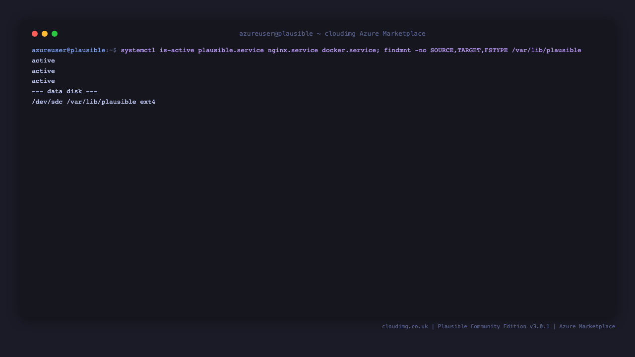 plausible.service and nginx.service active with the dedicated data disk mounted at /var/lib/plausible