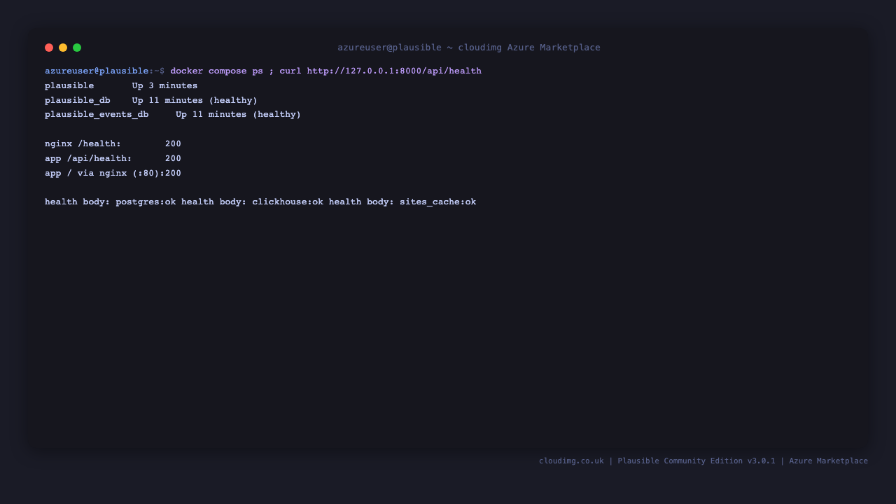 The three Compose containers healthy and the Plausible health endpoints returning 200