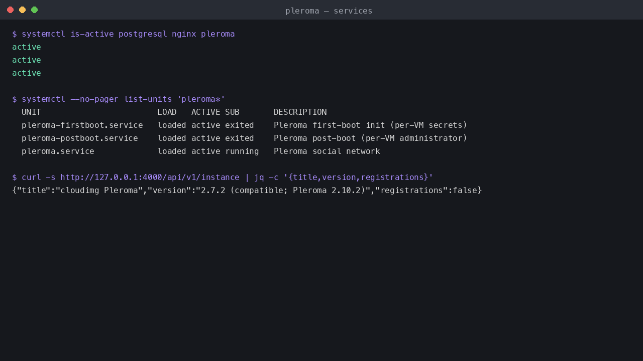The postgresql, nginx and pleroma services active, with the pleroma-firstboot and pleroma-postboot one shot units having completed