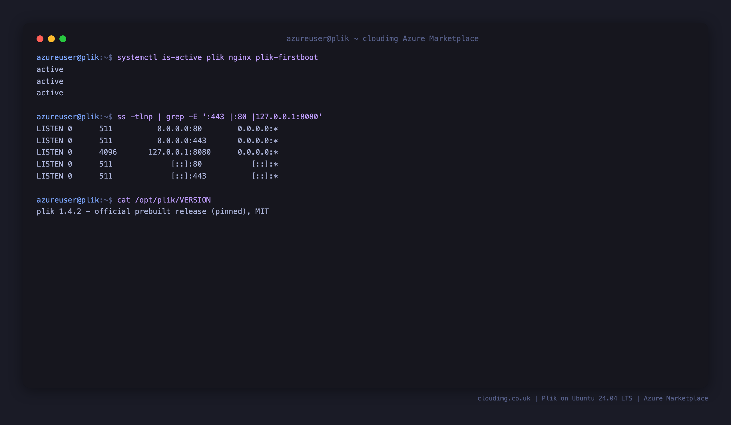 Terminal showing the plik, nginx and plik-firstboot services active, plikd bound to loopback 127.0.0.1:8080 with nginx on ports 80 and 443, and the installed Plik 1.4.2 version