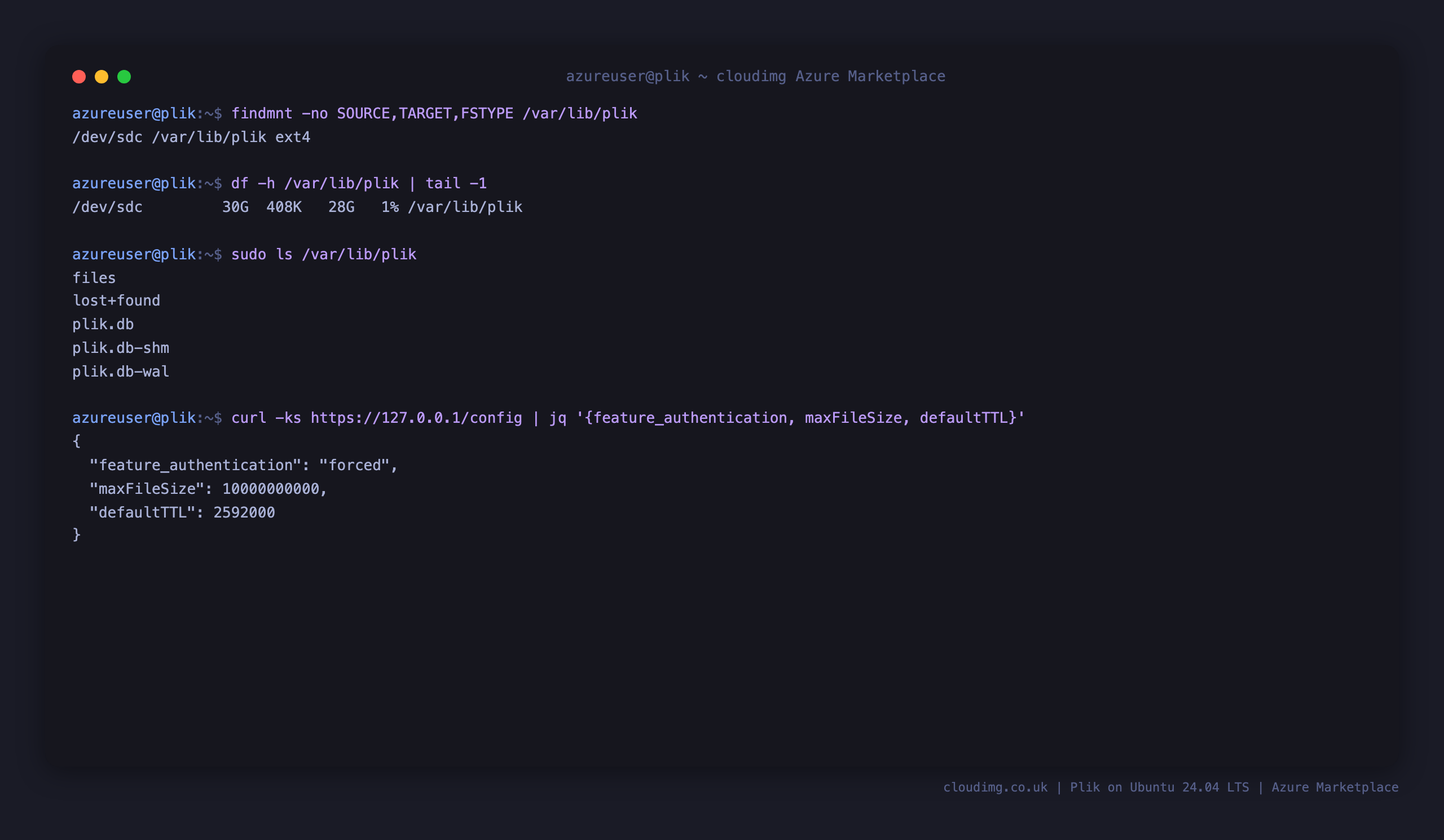 Terminal showing the ext4 data disk mounted at /var/lib/plik with the plik.db metadata database and files store on it, and the config endpoint reporting feature_authentication forced with a 10 GB max file size