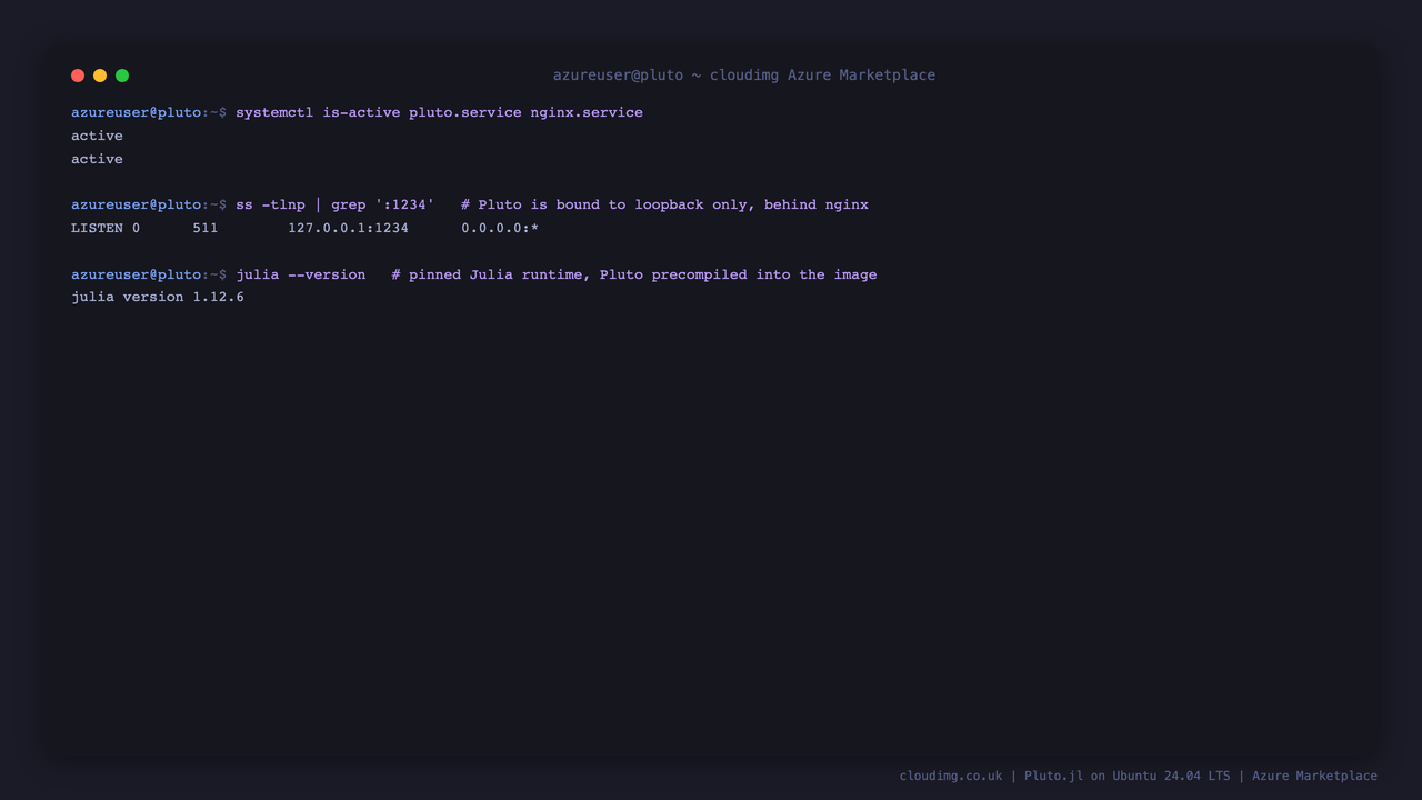 pluto.service and nginx.service active, with Pluto listening on the loopback connector 1234 and the pinned Julia runtime