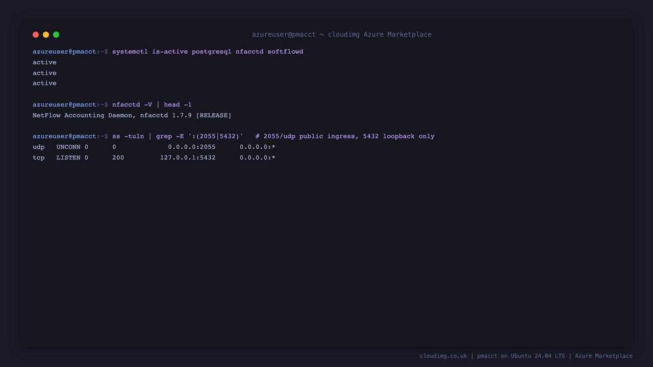 nfacctd, PostgreSQL and softflowd all reporting active under systemd, with only the NetFlow collector port bound to all interfaces and the database bound to the loopback address